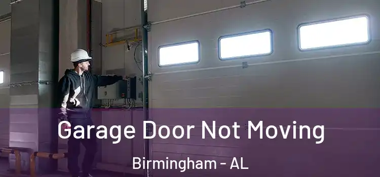  Garage Door Not Moving Birmingham - AL