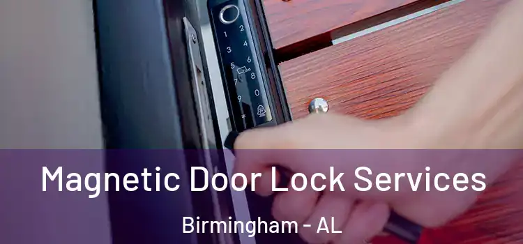 Magnetic Door Lock Services Birmingham - AL